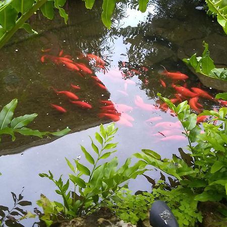 Cape Coral Paradise - Amazing View Esterno foto
